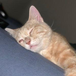 Meet your Posher, Caleb